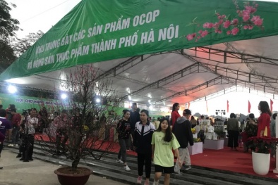 Hội chợ hàng hóa nông sản thực phẩm Tết Canh Tý 2020- Kết nối cung cầu, bình ổn thị trường Hà Nội