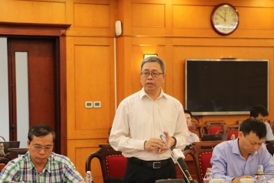 Bùng nổ thương mại điện tử và nỗi lo gia tăng vi phạm sở hữu trí tuệ