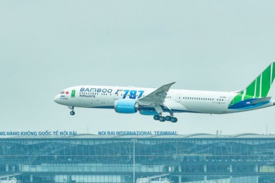 Thị phần Bamboo Airways trong tháng 12/2019 đã vượt 12%