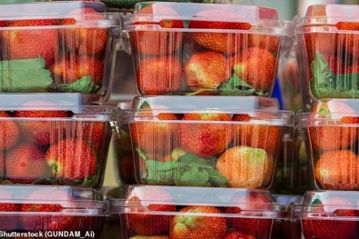 Hóa chất phổ biến trong nhựa có thể khiến con người bị vô sinh