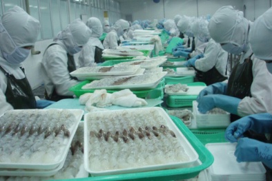 Vì sao Công ty Thuận Phước ở Đà Nẵng bị phạt 300 triệu đồng?