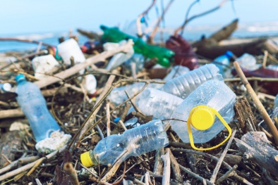 Nhà khoa học Việt cho 'ra mắt' 3 chế phẩm sinh học xử lý rác thải nhựa