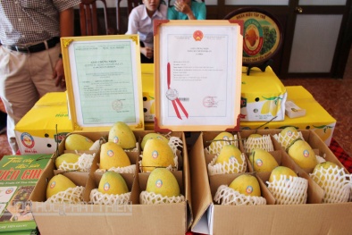 Phát triển thương hiệu cộng đồng gắn với chỉ dẫn địa lý để tăng sức cạnh tranh cho nông sản Việt 