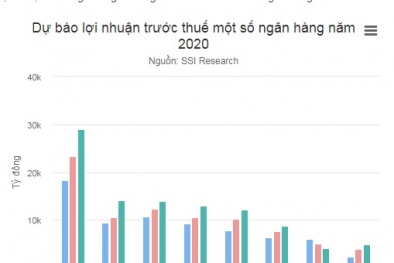 Lợi nhuận ngân hàng năm 2020 ra sao? 