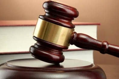 Chứng khoán SmartInvest bị phạt 365 triệu đồng 