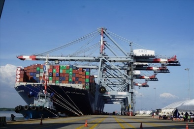 414 doanh nghiệp kết nối Hệ thống quản lý hàng hóa tự động