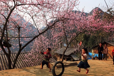 Những nẻo đường mùa xuân