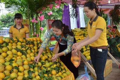 Giải pháp nào thúc đẩy thương hiệu, tăng sức cạnh tranh cho nông sản Việt? 
