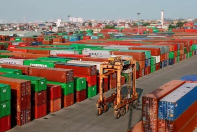 Giảm hơn 17.500 container phế liệu tồn đọng