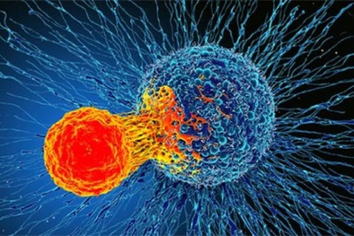 Phát hiện cơ chế miễn dịch 'có thể điều trị mọi loại ung thư'