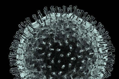 Hơn 50 nghiên cứu về virus Corona đã được công bố trong 20 ngày