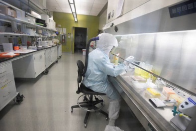 Các nhà khoa học Anh: Đột phá trong công cuộc tìm kiếm vaccine chống lại virus Corona