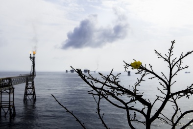 PVN chủ động các biện pháp ứng phó, giảm thiểu thiệt hại từ dịch bệnh virus corona