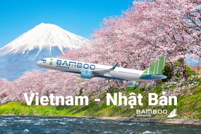 Tại sao Bamboo Airways và Japan Airlines tính bắt tay hợp tác?