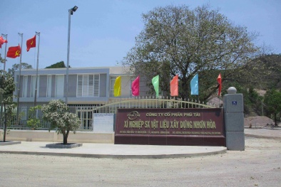 Khai thác vượt độ sâu cho phép, Công ty Phú Tài - Bình Định bị phạt 140 triệu đồng