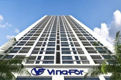 Vừa chuyển sang HNX, Vinafor bốc hơi cả nghìn tỷ đồng 