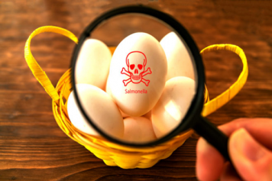 250 trường hợp nhiễm mới trong vụ bùng phát dịch Salmonella liên quan đến trứng