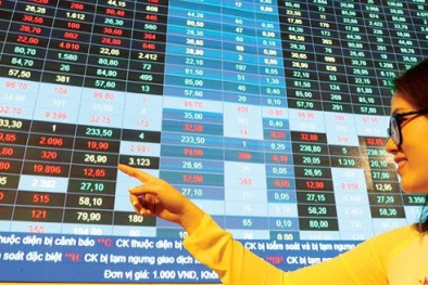 Giá cổ phiếu của công ty Việt này tăng ‘sốc’ gấp 5 lần, loạt nhà đầu tư thu lợi ‘khủng’