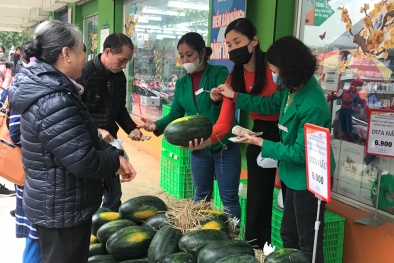 Doanh nghiệp phân phối sẵn sàng bán với giá không lợi nhuận để thúc đẩy tiêu thụ nông sản