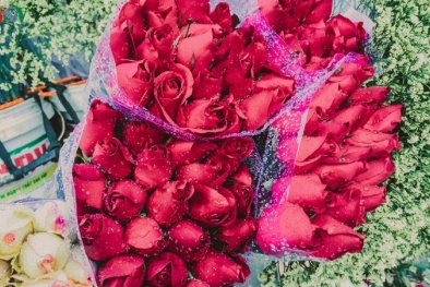 Nhiều cửa hàng hoa lo thua lỗ vì thị trường Valentine năm nay thiếu vắng hoa nhập