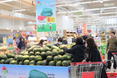 Nông sản ế ẩm nhưng không muốn bán trong nước