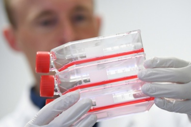 WHO tiết lộ thời điểm thử nghiệm vaccine phòng ngừa virus corona