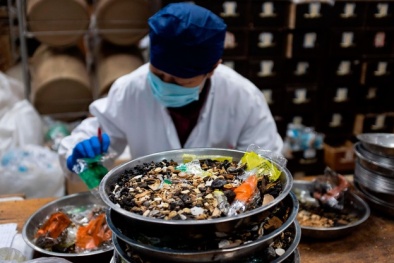 Tìm phương pháp điều trị virus corona từ thuốc cổ truyền 3.000 năm 