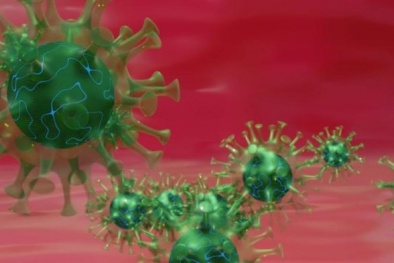 Nỗ lực tái tạo virus trong phòng thí nghiệm để chống lại COVID-19