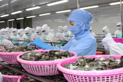 Làm gì để nâng chất hàng Việt?