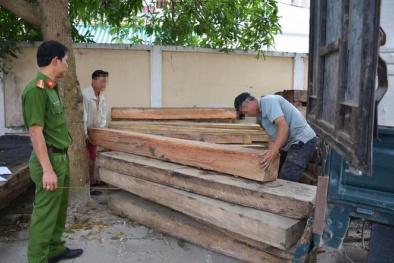 Phát hiện gỗ lậu 'núp bóng' xe tải chở phế liệu
