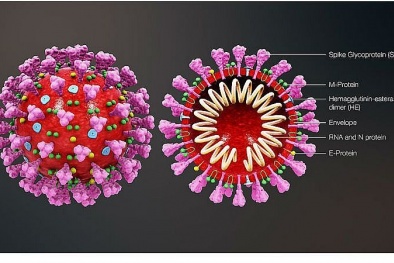 Đã có hơn 200 công bố khoa học về dịch bệnh do virus corona chủng mới