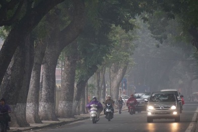 Lưu ý đặc biệt khi sử dụng ô tô trong thời tiết nồm ẩm kéo dài