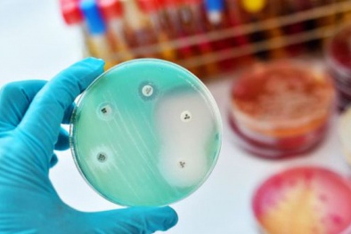 Công nghệ AI: Tìm ra loại kháng sinh mới tiêu diệt vi khuẩn kháng kháng sinh nguy hiểm nhất