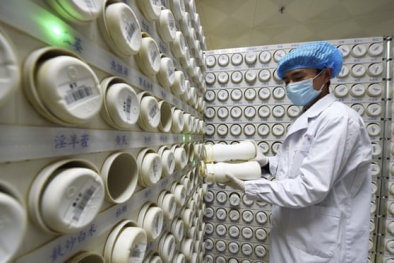 Dùng thuốc chữa HIV để điều trị virus corona: Bao giờ công bố kết quả?