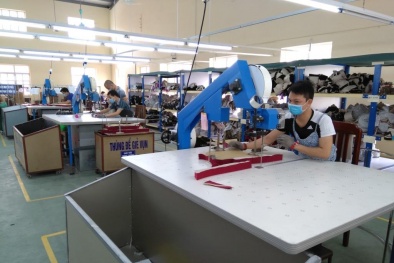 Công ty May Nam Hà: Tăng năng suất nhờ đổi mới công nghệ và hoàn thiện hệ thống quản trị