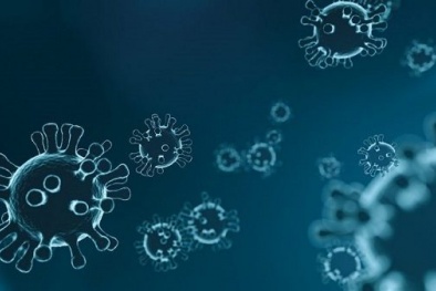 Đối tượng nào dễ bị ‘tấn công’ bởi virus corona? 