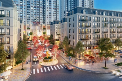 Dự án Shophouse The Terra - An Hưng: Điểm sáng thị trường đầu tư năm 2020