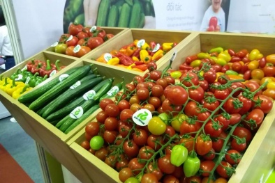 Giảm 2,8% kim ngạch xuất khẩu nông lâm thủy sản trong 2 tháng đầu năm 2020