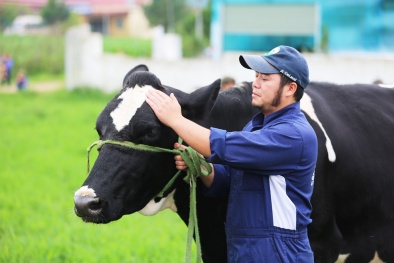 Vì sao cổ phiếu GTN Foods bị đưa vào diện kiểm soát