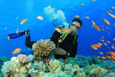 'Lên rừng xuống biển' khám phá bán đảo Sơn Trà - Đà Nẵng