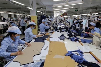 Hàng hóa Việt Nam xuất khẩu vào thị trường Đức đạt 455,03 triệu USD tháng đầu năm