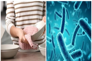 Sai lầm tai hại khi lấy khăn lau khô bát đũa ngay sau khi rửa xong
