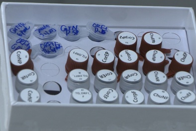 Bộ kit test nhanh virus corona mới được Việt Nam công bố có gì đặc biệt?