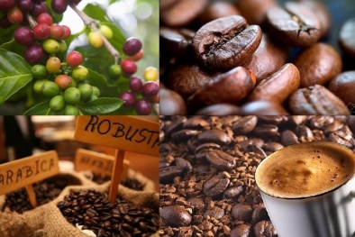 Giá nông sản hôm nay 4/3: Giá cà phê, hồ tiêu đồng loạt tăng mạnh