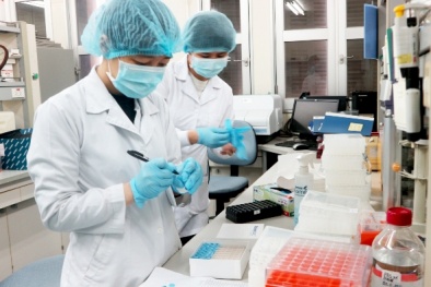 Kovalevskaia 2019 vinh danh nhóm nhà khoa học nữ phân lập thành công virus corona chủng mới