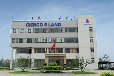 SCIC thoái vốn hơn 175 tỷ đồng tại CIENCO 5