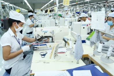 Sẽ liệt kê các yêu cầu phổ biến về nhãn mác hàng hóa xuất khẩu sang Hoa Kỳ