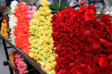 Thị trường hoa 8/3: ‘Đìu hiu’ vì virus Covid-19 