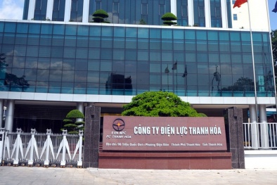 Điện lực Thanh Hóa đấu thầu rộng rãi nhiều gói thầu