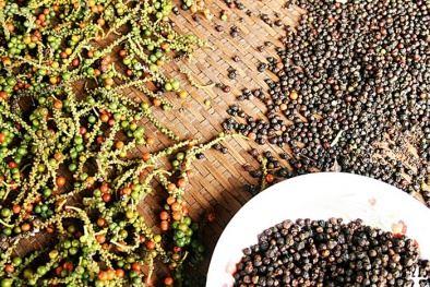 Giá nông sản hôm nay 11/3: Giá hồ tiêu, gạo tiếp tục giảm sâu